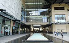 グリーンベルト